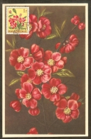 CONGO BELGE Carte Maximum - Hibiscus - Other & Unclassified