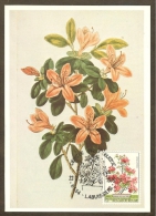 BELGIQUE Carte Maximum - Azalea Japonica - Autres & Non Classés