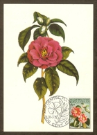 BELGIQUE Carte Maximum - Camelia Japonica - Autres & Non Classés