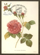 BELGIQUE Carte Maximum - Rose Hélène - Andere & Zonder Classificatie