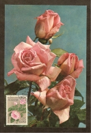 ALGERIE Carte Maximum - Rose - Tarjetas – Máxima