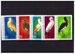 BULGARIA 1981 WATER BIRDS 5  VALUES MNH - Albatros