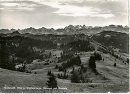 Sattel - Hochstuckli, Blick G.Wägitalerberge, Glärnisch Und Drusberg            1956 - Sattel