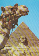 Giza - The Sphinx And The Pyramid Of Khafre - Camel 1980 Nice Stamps - Gizeh