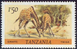 TANSANIA - TANZANIA - GIRAFFES - Perf. K 14 : 14¼  - R  - **MNH - 1985 - Giraffen