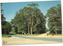 44    LE  GAVRE  FORET  DU  GAVRE  LE  ROND  POINT  ( VOITURES DONT 2 CV CITROEN ) - Le Gavre