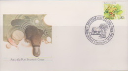 Australia 1982 Pittsworth State School Centenary Souvenir Cover - Lettres & Documents