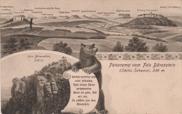 Litho Panorama AK Sächsische Schweiz Fels Bärenstein Mit Kaltenberg Rosenberg Wolfsberg Bei Naundorf Weissig Thürmsdorf - Wehlen