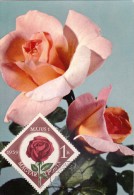 HONGRIE Carte Maximum - Roses - Cartes-maximum (CM)