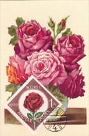 HONGRIE Carte Maximum - Roses - Cartes-maximum (CM)