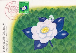 JAPON Carte Maximum - Fleur De Camélia - Maximumkaarten