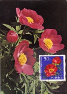 POLOGNE Carte Maximum - Pivoines - Maximumkarten