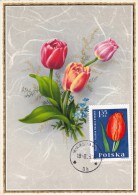 POLOGNE Carte Maximum - Tulipe - Maximum Cards