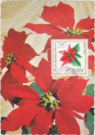 POLOGNE Carte Maximum - Poinsetia - Cartes Maximum