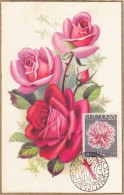 TCHECOSLOVAQUIE Carte Maximum - Rose - Other & Unclassified