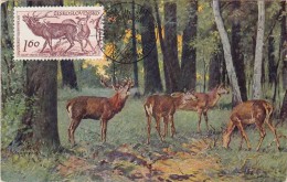 TCHECOSLOVAQUIE Carte Maximum - Cerf Et Biche - Otros & Sin Clasificación