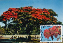 WALLIS & FUTUNA Carte Maximum - Le Flamboyant - Maximumkaarten