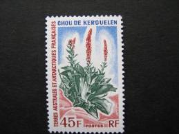 TAAF    P 48 * *      CHOU DE KERGUELEN - Unused Stamps