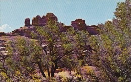 Wooden Shoe Canyonlands National Park Utah - Otros & Sin Clasificación