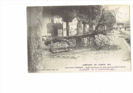 CHATEAU THIERRY - 02 -ARBRE HACHE PAR UN OBUS - AVENUE JULES LEFEVRE - GUERRE 1914 -1918 - Bäume