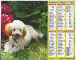 Calendrier Des Postes 1992 69 Rhone - Grossformat : 1991-00