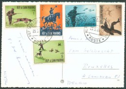 CV Du 23-5-1964 Vers Bruxelles Et Affranchie Avec Série CHASSE (Hunting), Chien, Cerf, Canard Et Oiseaux (bird). - 10825 - Briefe U. Dokumente