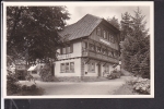 Bad Rippoldsau Gasthaus U.Pension "Holzwälderhöhe" - Bad Rippoldsau - Schapbach