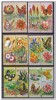 Burundi 1973, Postfris MNH, Flowers, Butterflies - Unused Stamps