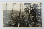 (8/3/25) AK "Greiz I.V." Panorama (2) - Greiz