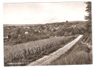 HÜGELHEIM , Bezirk Müllheim, Baden : Markgräfler Land;Gasthaus Zur Blume ; 1967, TTB - Müllheim