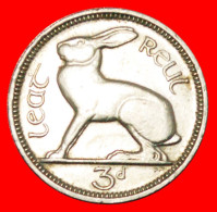 * GREAT BRITAIN (1942-1968): IRELAND  3 PENCE 1968 HARE! LOW START  NO RESERVE! - Irlande