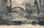 ( CPA 83 )  LA ROQUEBRUSSANNE  /  Pont De L' Orbitelle  - - La Roquebrussanne