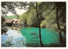 Blaubeuren - Blautopf 1 - Blaubeuren