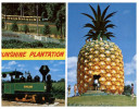 (628) Australia - QLD - Big Pineapple + Coolum Train - Sunshine Coast