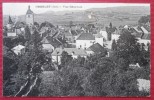 - ORGELET (Jura) - VUE GENERALE - - Orgelet