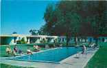 244363-Arizona, Mesa, Elm's Motel, Highway 87, Swimming Pool, Petley Studios No S1369 - Mesa