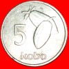 * COCOA: NIGERIA ★ 5 KOBO 1973!  LOW START★ NO RESERVE! - Nigeria