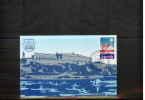 Jugoslawien / Yugoslavia 1985 Donau Regatte Maksimumkarte - Covers & Documents