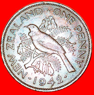 * BIRD (1940-1947): NEW ZEALAND ★ PENNY 1942! KEY DATE! GEORGE VI (1937-1952) LOW START★NO RESERVE! - Nouvelle-Zélande