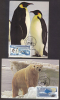 India  2009  Polar Bear  Penguins  Preserve The Polar Regeons & Glaciers  2  Maximum Cards # 67463  Inde Indien - Behoud Van De Poolgebieden En Gletsjers