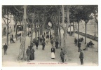 CP AUDE - NARBONNE - A PROMENADE DES BASQUES - Sigean