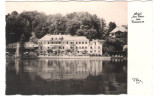 Österreich - Traunkirchen - Hotel " Am Stein " Am Traunsee - 1950 - Traun