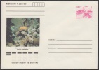 1990-EP-24 CUBA 1990. Ed.210b. ENTERO POSTAL. POSTAL STATIONERY. CORAL DE LOS CANARREOS. SEA FAUNA. UNUSED. - Cartas & Documentos