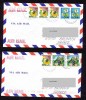 Japon: 2 Lettres   Pour La France  Fleurs Flowers Blumen Insectes - Storia Postale