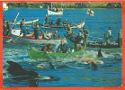 FAROE ISLANDS 003, * GRINDADRÁP * WHALE HUNTING  In FAROE ISLANDS *  SENT From NORDKAP NORGE 1978 - Isole Faroer