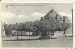 Retie     De Eeuwenoude Linde  -  1953  Naar Tielt - Retie