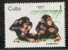 (cl. 4 - P.18) Cuba ** N° 2156 (ref. Michel Au Dos)  Chimpanzés - - Neufs