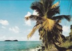 GUADELOUPE---SAINT BARTHELEMY---rivage Caraibes---voir 2 Scans - Saint Barthelemy