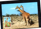 KENYA   Carte  Maxi  WWF  Panda   Girafe - Girafes