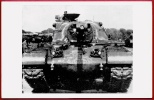 Documentation PHOTO Imprimée - Tank - Char D'Assaut - Blindé - Véhicule Militaire MILITARIA Armée - Vehicles
